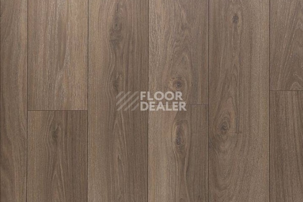 Ламинат Clix Floor Plus CXP087 ДУБ КОФЕЙНЫЙ фото 1 | FLOORDEALER